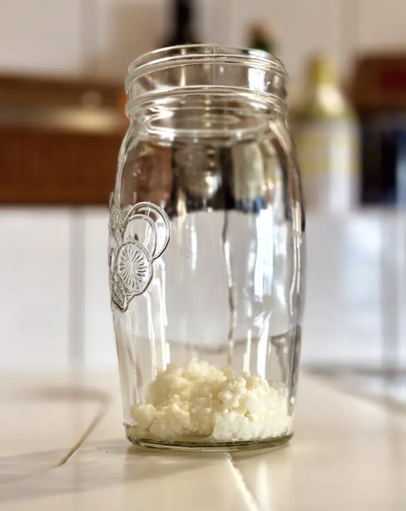 Kefirknollen im Glas