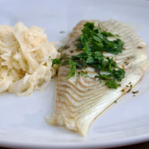 Steinbutt-Filet mit cremigem Sahne-Sauerkraut und Petersilie auf vorgewärmtem Teller angerichtet