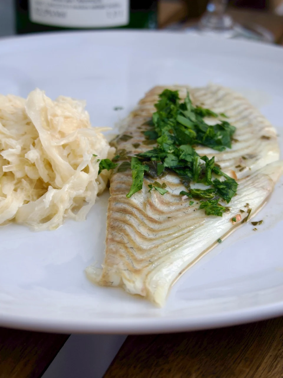 Steinbutt-Filet mit cremigem Sahne-Sauerkraut und Petersilie auf vorgewärmtem Teller angerichtet