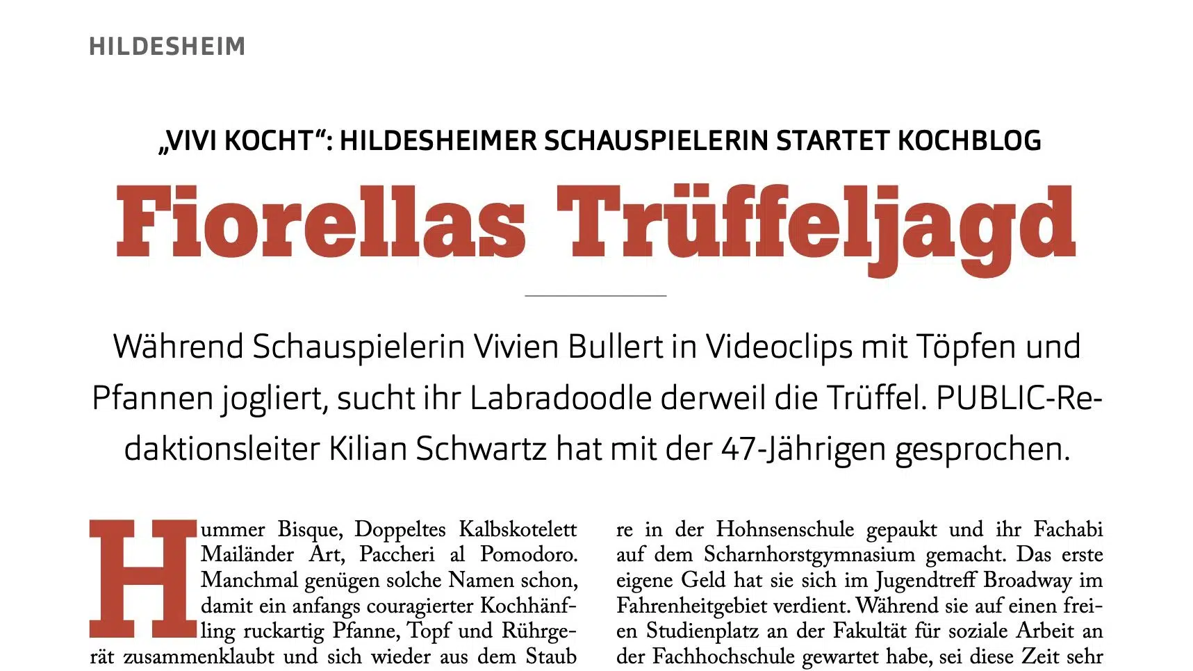 Interview im Hildesheimer Stadtmagazin Public