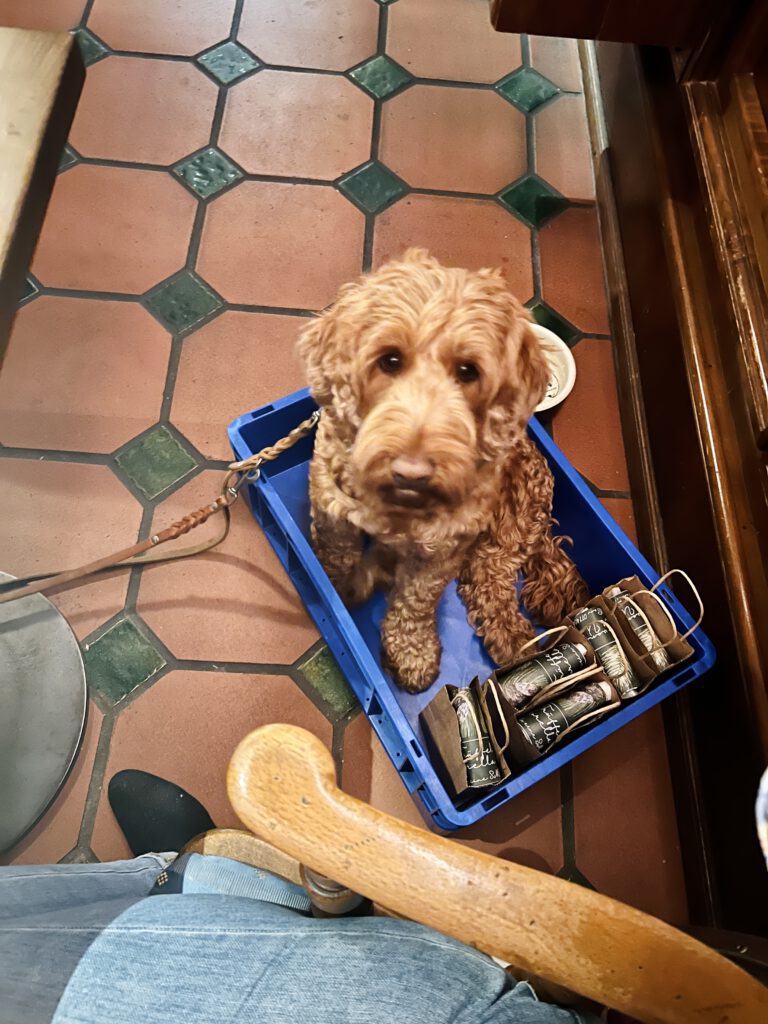 Trüffelhund Fiorella in der Geschenkebox