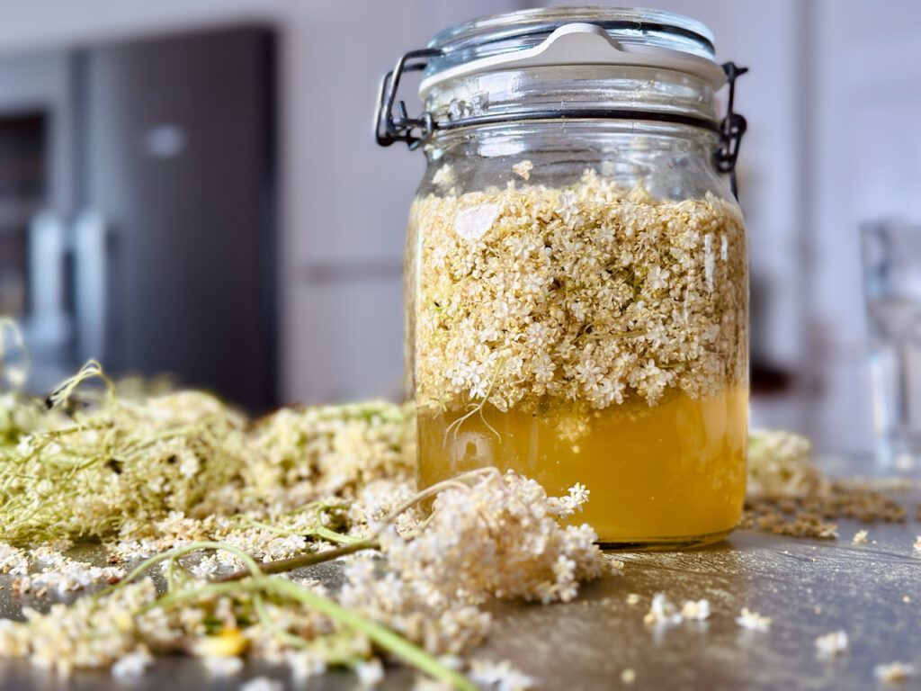 Holunderessigblüten-Essig Rezept von Vivi kocht