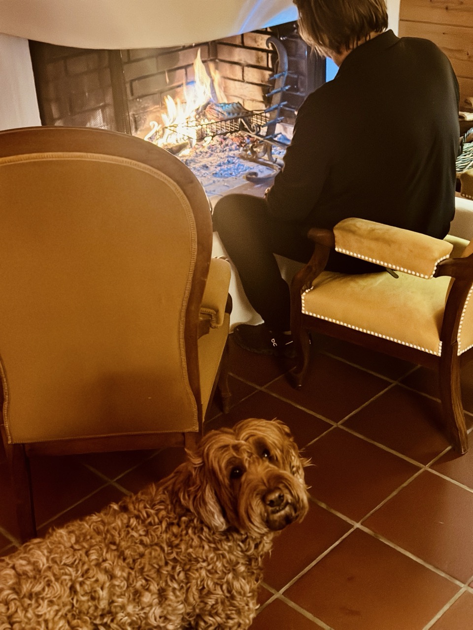 Felix’s grilliertes Schweinskotelett 