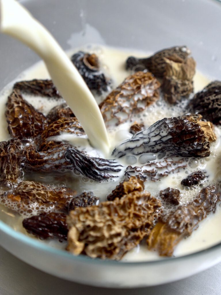 mit-milch-morcheln-einweichen-vivikocht-web