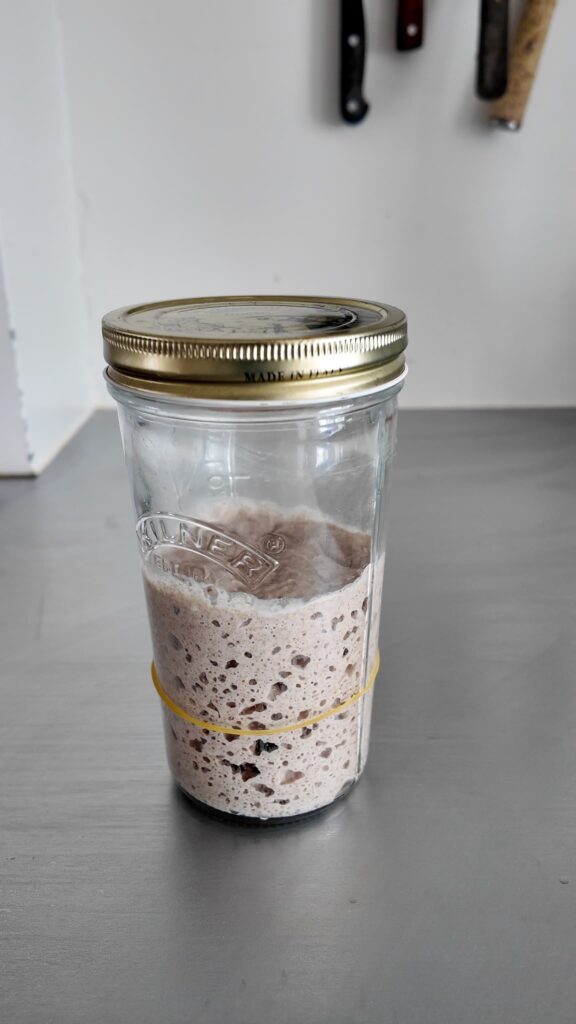 Sauerteig Starter Day 6 - Vivi kocht