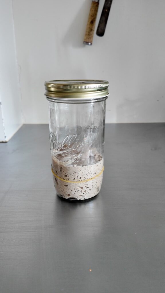 Sauerteig-Starter-Day 4 Vivikocht