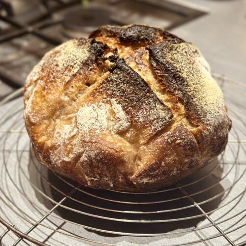 sauteigbrot-gitter-vivikocht