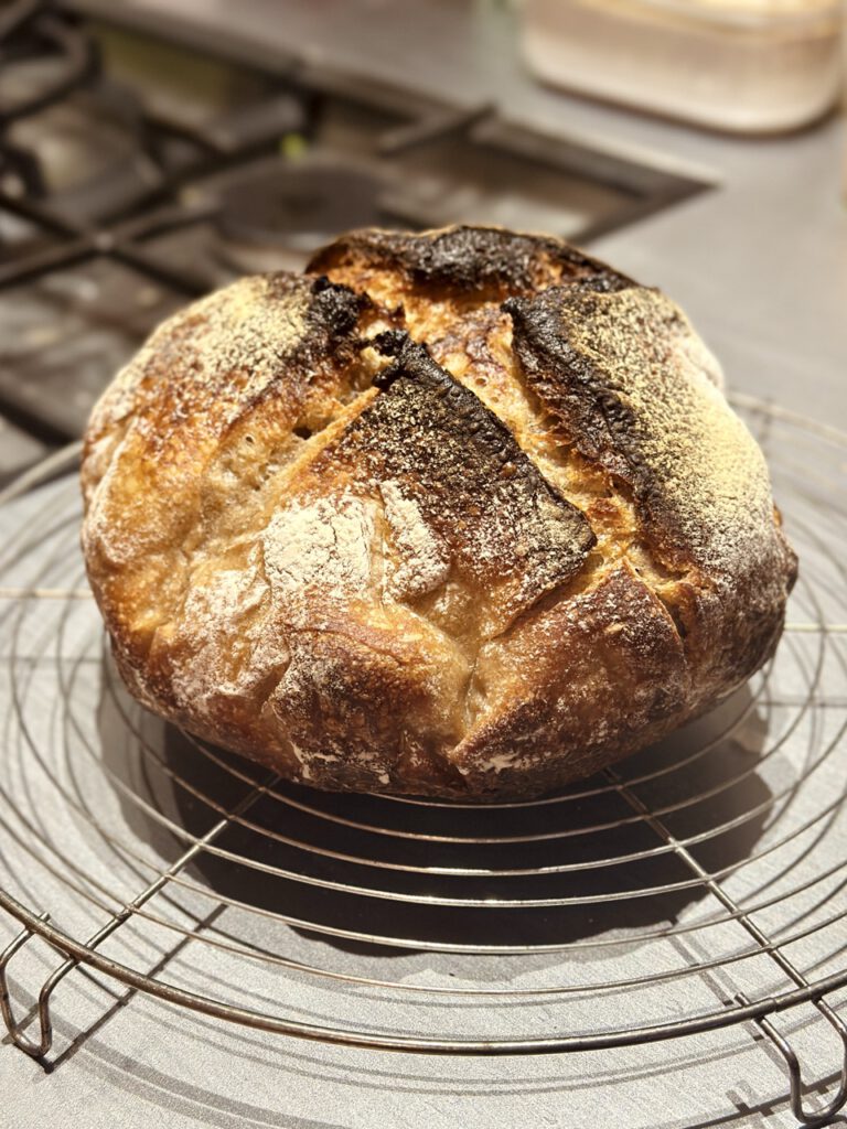 sauteigbrot-gitter-vivikocht