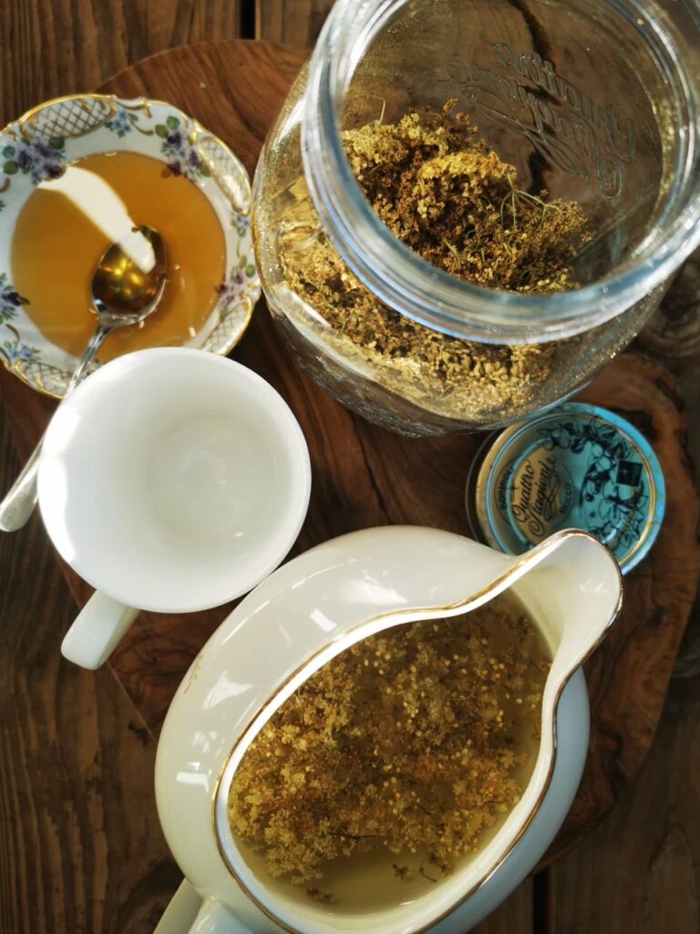 Holunderblütenentee in Tasse mit getrockneten Dolden