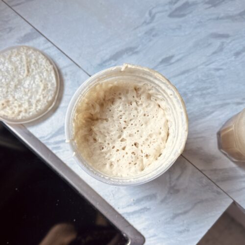 sauerteig-starter-rezept-vivikocht