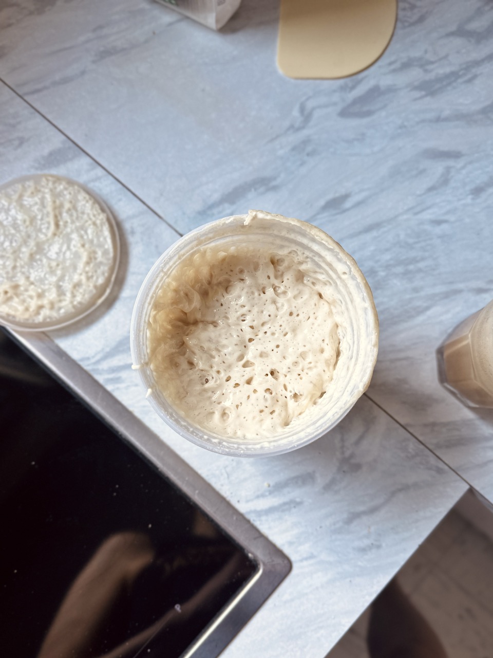 sauerteig-starter-rezept-vivikocht