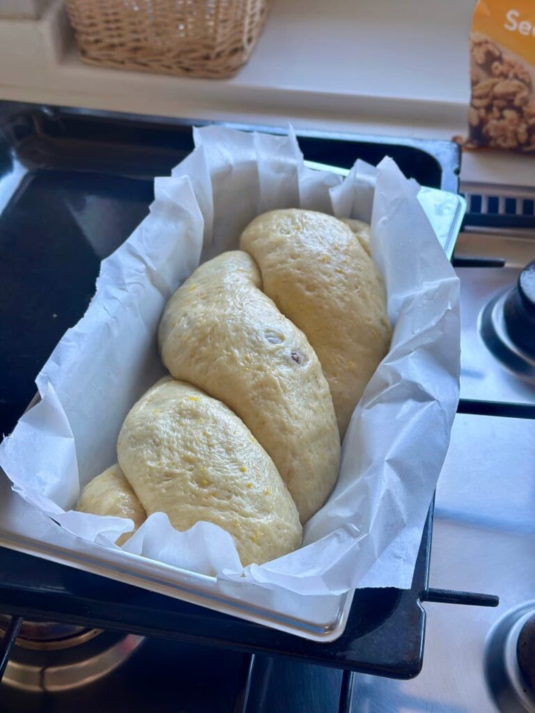 Cozonac in der Form im Ofen beim letzten Aufgehen